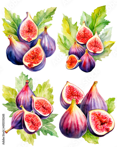 Collections of watercolor fresh figs fruit, whole, slice, cut in half with leaf isolated on white background. PNG transparent background. AI Generative.