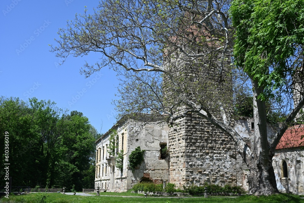 Schlossruine Pottendorf, Österreich, 25.05.2023