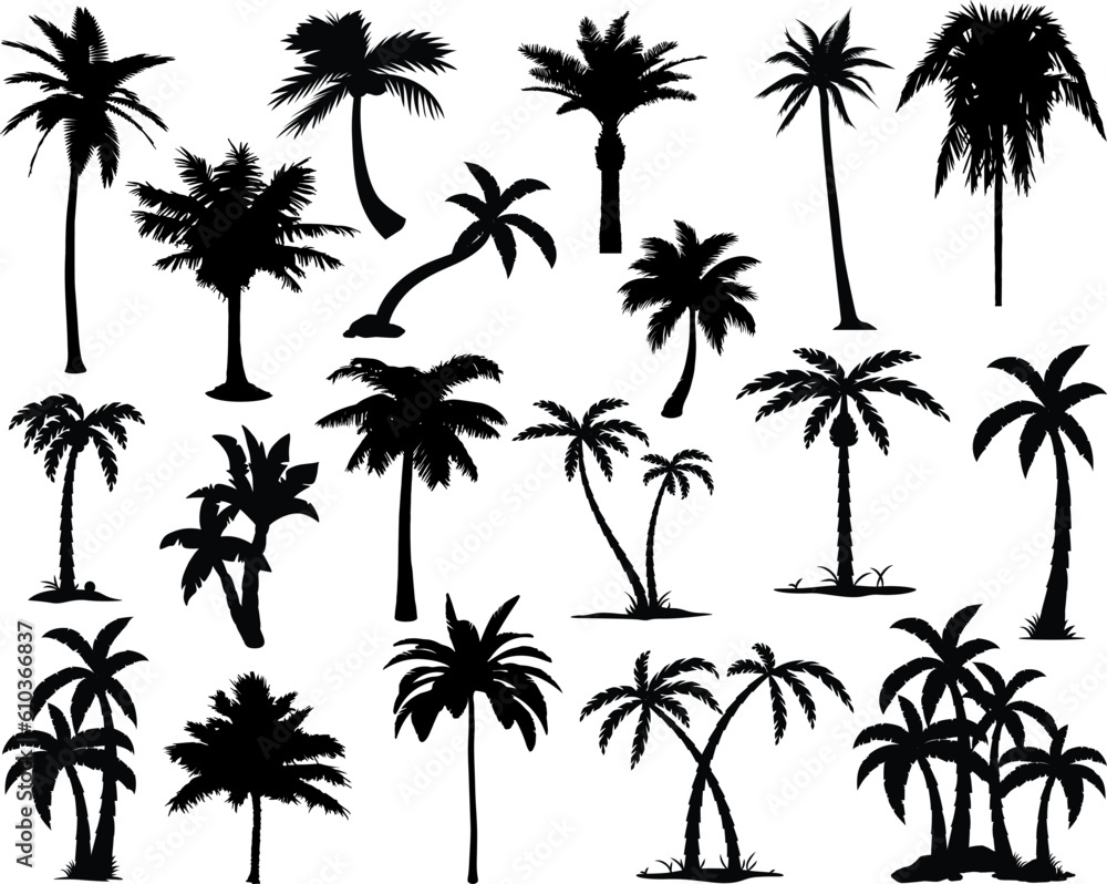 Set of Palm Trees Silhouette, Tropical Bundle