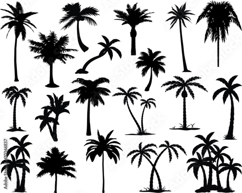 Set of Palm Trees Silhouette  Tropical Bundle