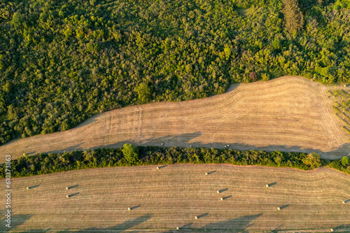 Vue verticale en fin de journée sur une moisson de foin en bord de forêt. 