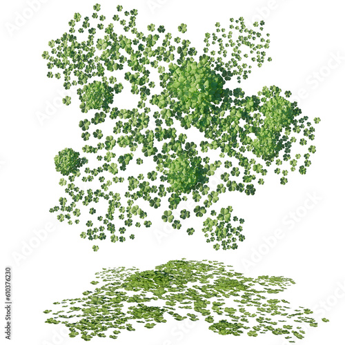 Set of Water Fern plants with isolated on transparent background. PNG file, 3D rendering illustration, Clip art and cut out
