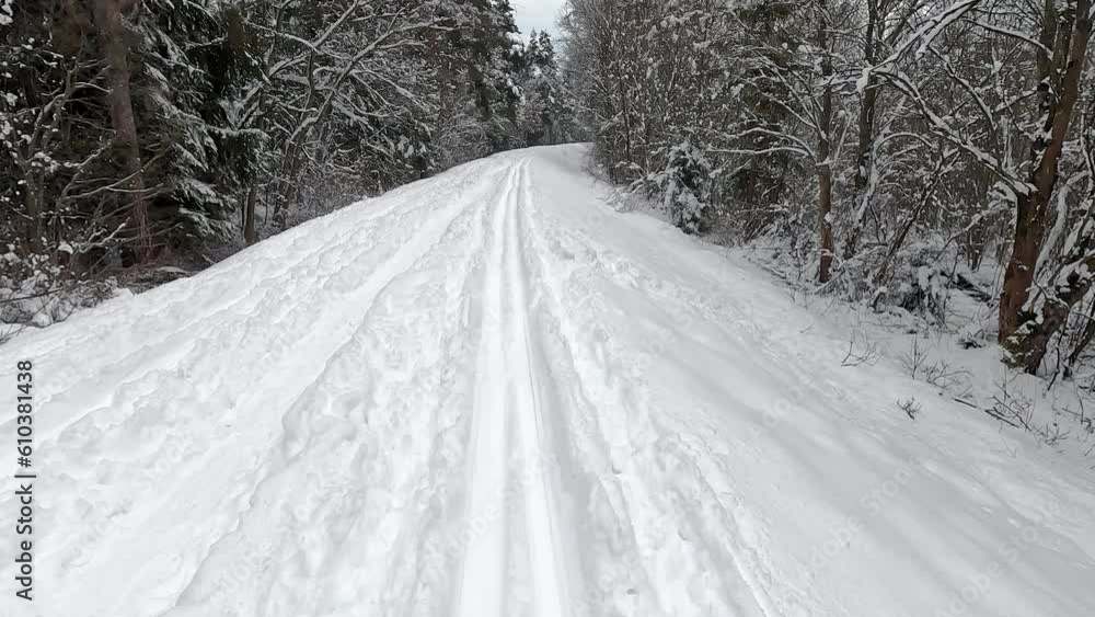 custom made wallpaper toronto digitalBack cross country skiing, snow covered coniferous trees both sides, action camera point of view