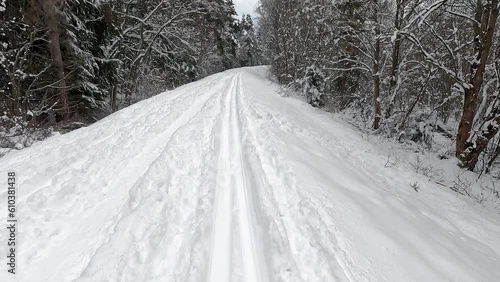 Wallpaper Mural Back cross country skiing, snow covered coniferous trees both sides, action camera point of view Torontodigital.ca