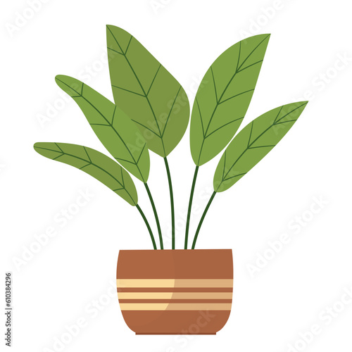 plant in a pot, on a white background in a flat style