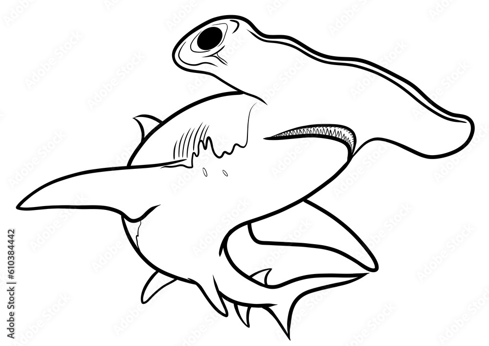 hammerhead shark outline illustration on transparent background - obrazy, fototapety, plakaty 