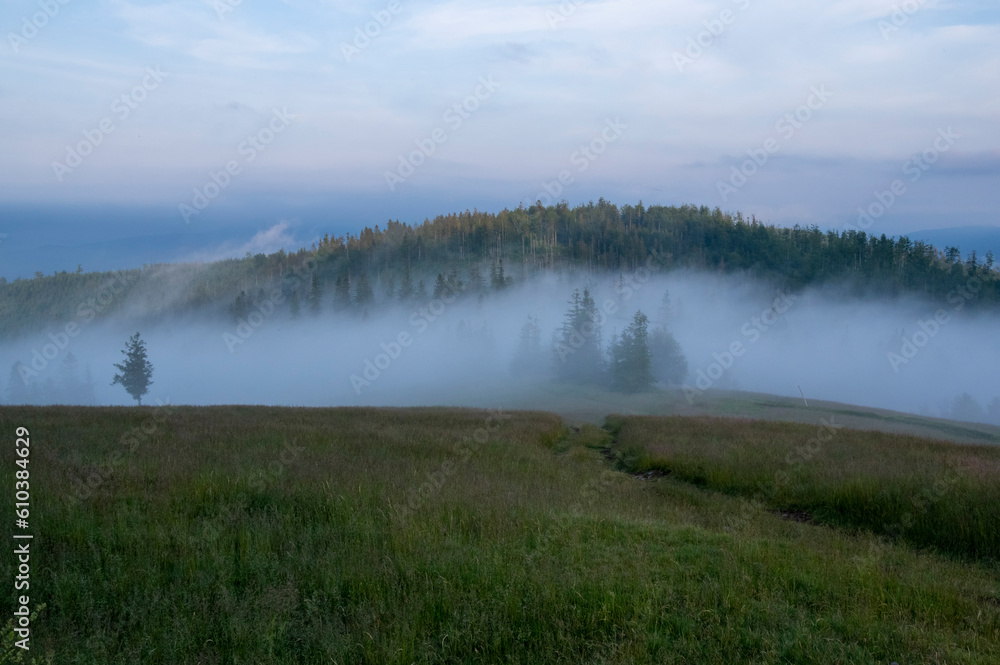 Mgiełki