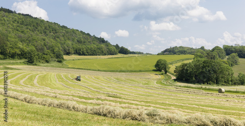 Production de foin dans le Jura au printemps 
