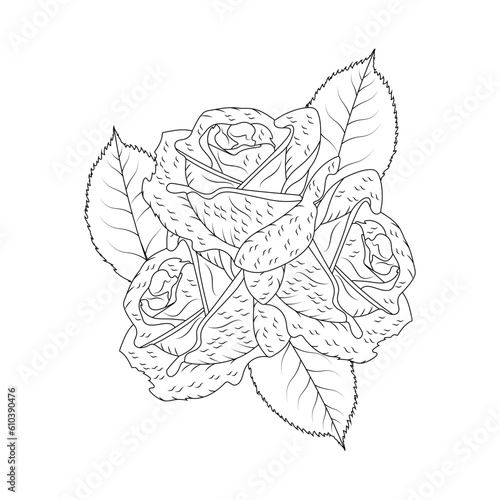 sketch of rose
