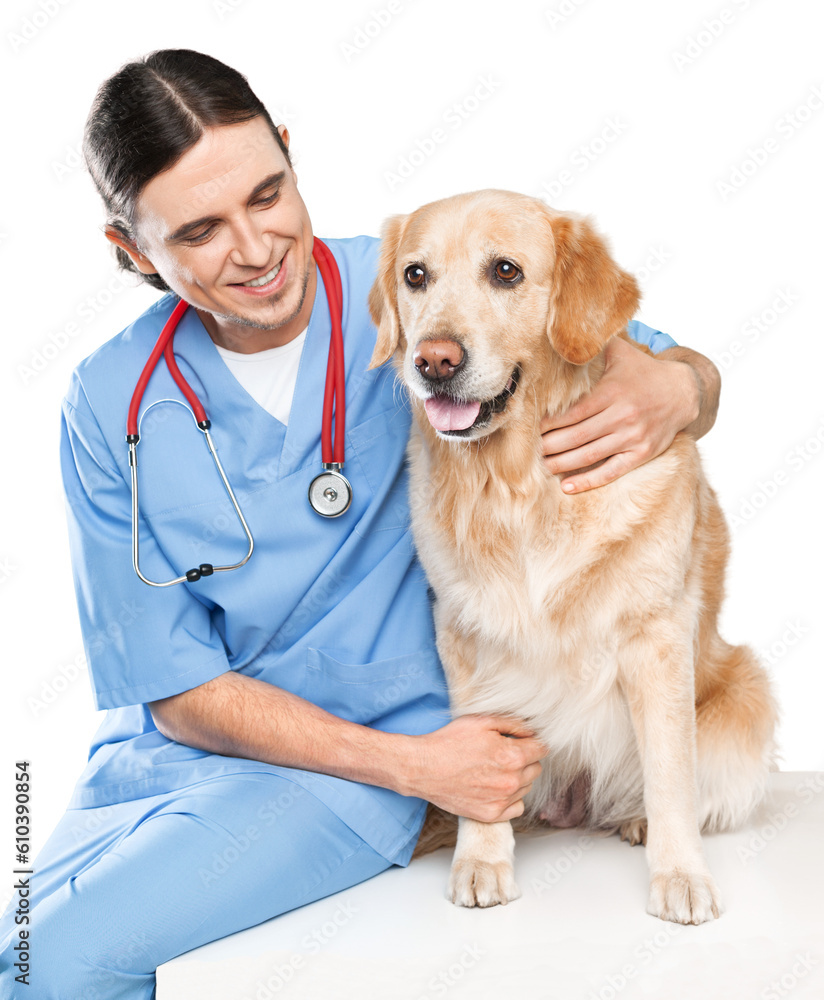 Beautiful young veterinarian with a dog