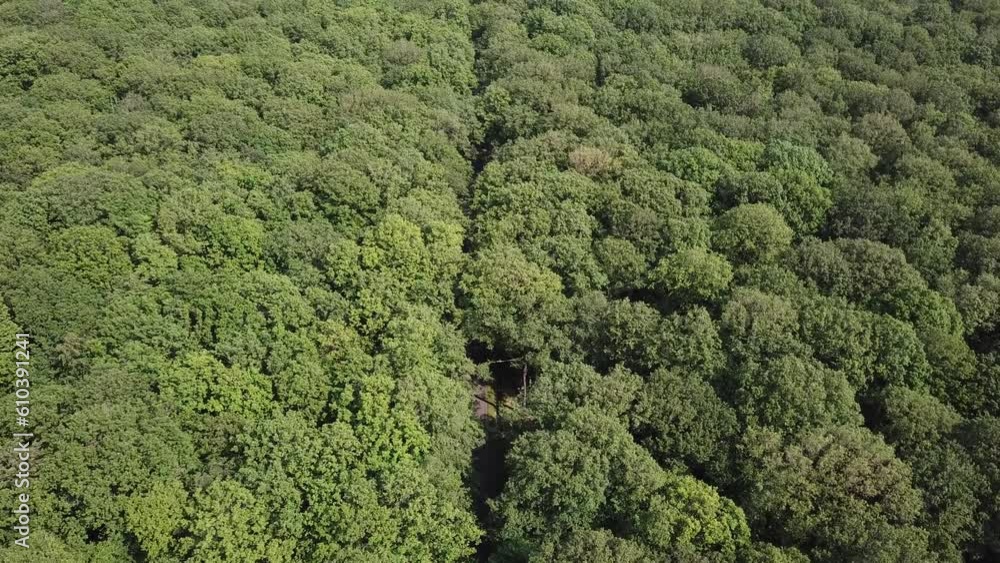 A French forest view from above. May 2023, Mayenne, France. A French forest view from above. May 2023, Mayenne, France.
