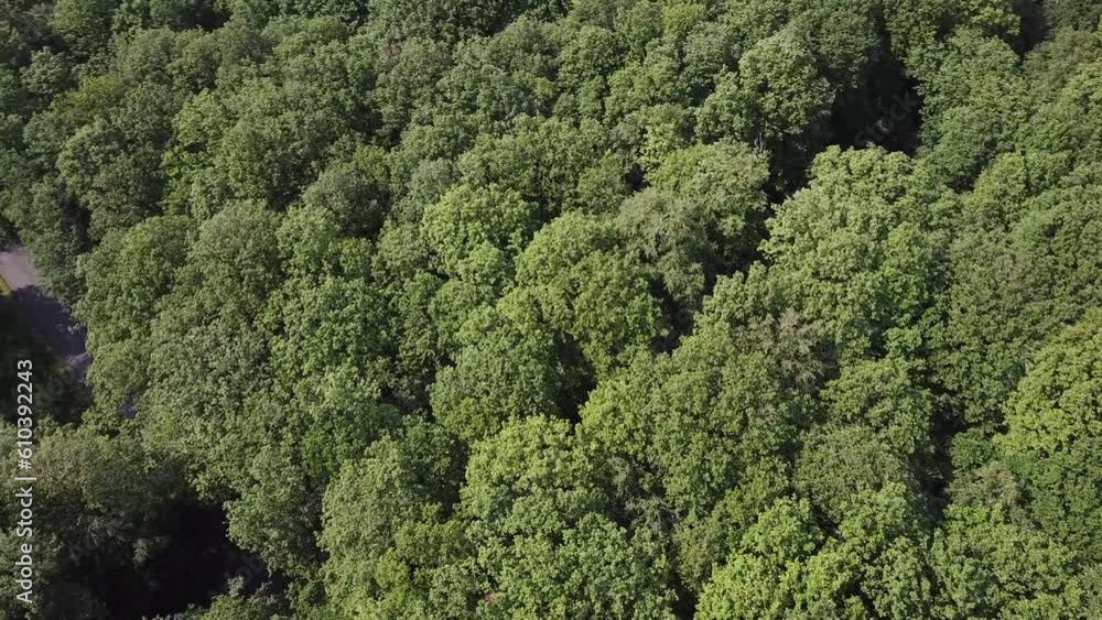 A French forest view from above. May 2023, Mayenne, France. A French forest view from above. May 2023, Mayenne, France.