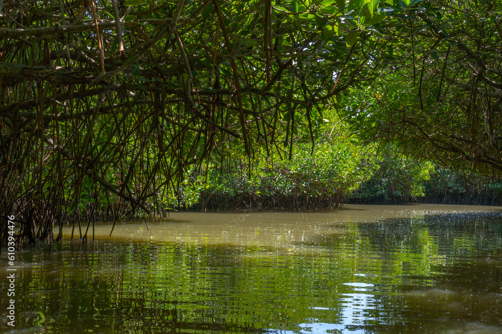 Fototapeta premium In a lush forest, a crystal-clear river meanders through clusters of vibrant trees, creating a serene, picturesque setting 