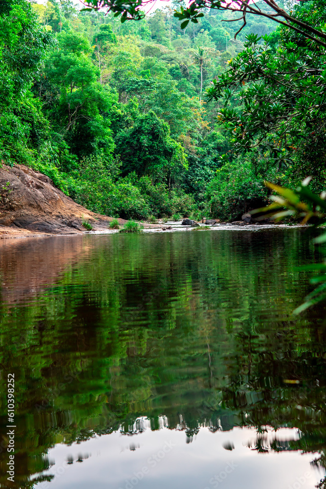 A winding river gently flows through the vibrant foliage of the dense forest. The forest is beautifully surrounded with greenish plants and trees.
