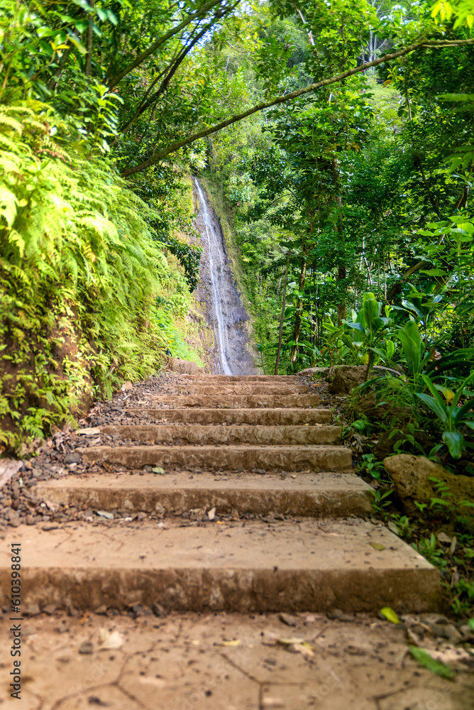 Steps towards the Manoa Waterfall in Honolulu, Hawaii Steps towards the Manoa Waterfall in Honolulu, Hawaii