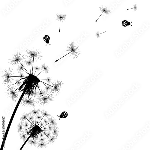 Silhouette of a simple single dandelion and ladybug
