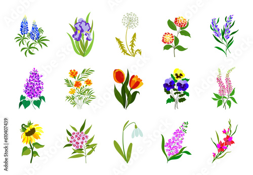 Realistic colored flat flowers. Perfect for illustrations and nature education.