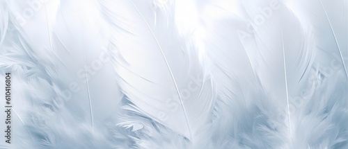 Airy soft fluffy wing bird with white feathers close-up of macro pastel blue shades on white background. Abstract gentle natural background with bird feathers macro with soft focus