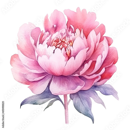 Watercolor beautiful peony flower. Illustration AI Generative.