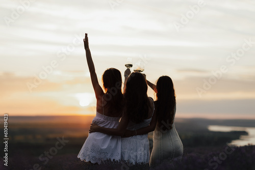 Silhouette of beautiful girls clinking with wine glasses on sunset. Celebrating summer season. 