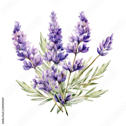 Lavender flowers isolated. Illustration AI Generative.