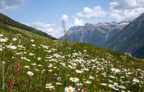 around Scuol, Lower Engadin, Switzerland