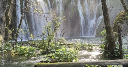Beauté naturelle d'un parc national