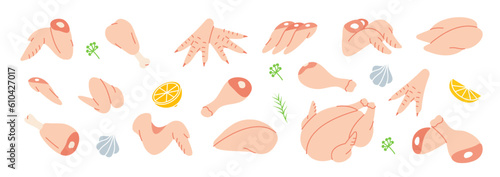 Fresh chicken meats. Butcher shop. Chicken farming products. Whole chicken, brisket wing, carcass, fillet, ham, leg, breast, shank, drumstick.