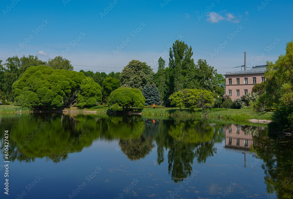 lake in the park