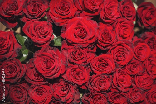 Background of natural red roses in sun light. Big bunch of fresh red roses in bouquet close up texture background. Atmosphere of celebration  love and celebration.