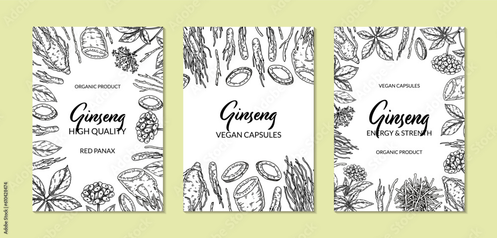 Ginseng vertical design. Hand drawn botanical vector illustration in sketch style. Can be used for packaging, label, badge. Herbal medicine background