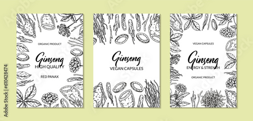 Ginseng vertical design. Hand drawn botanical vector illustration in sketch style. Can be used for packaging, label, badge. Herbal medicine background