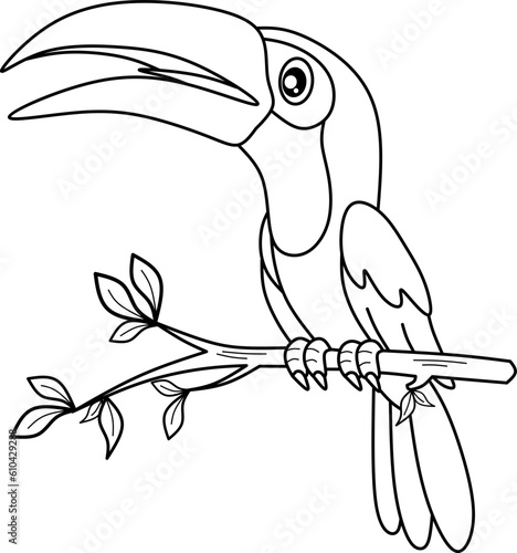 Toucan bird line art coloring book 