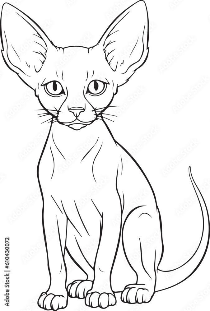 A cat , colouring book for kids, vector illustration