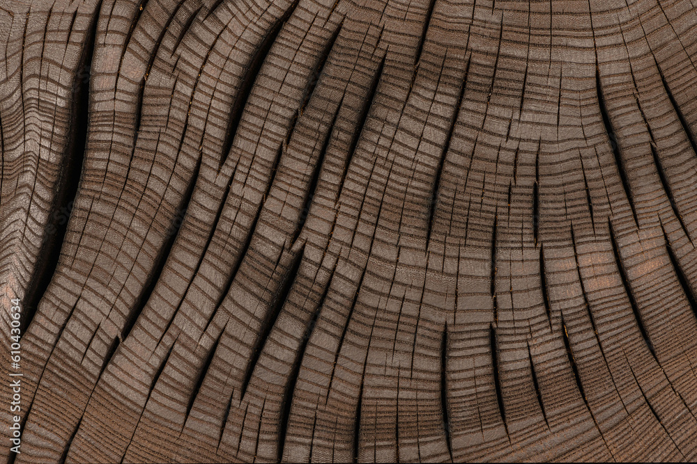 Fototapeta premium wood cut texture, processed slab