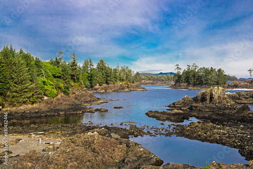 West coast of Vancouver Island Rugged shoreline at wild pacific trail in Ucluelet, rocky islands partially overgrown with coniferous forest against the background of blue sky, British Columbia Canada 