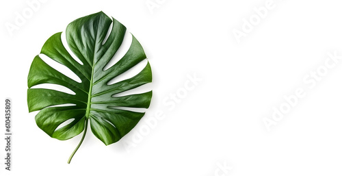 Green monstera leaf isolated on white background. Place for text. Generative AI