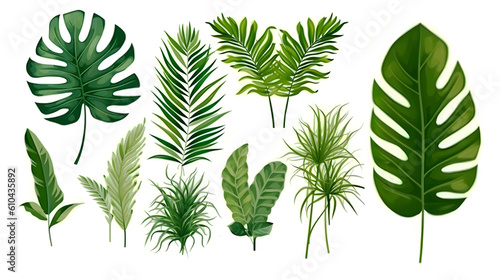 Collection of green tropical leaves on a white background. Set with green wild leaves. Botanic background for wrappers, print. Generative AI
