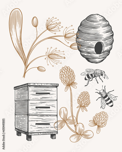 Hand drawn large set on beekeeping. Beehive, jar with honey, bees, clover flowers and linden trees vector illustration on light isolated background. Organic food. Healthy eating and vegetarianism.