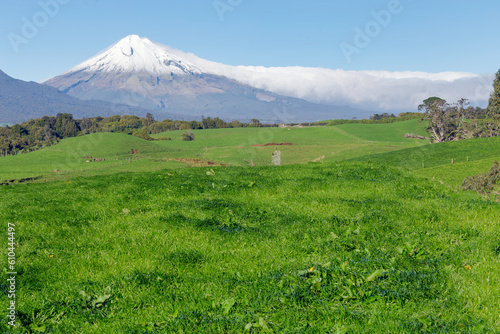 Green grass farmland with mountain background  sunny clear day