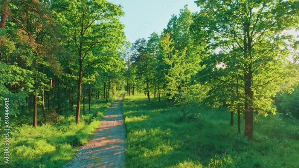 Drone view of the forest at sunset, a beautiful place to walk and observe nature. Forest landscape concept. Drone view of the forest at sunset, a beautiful place to walk and observe nature. Forest landscape concept.