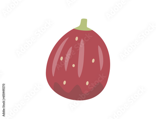 無花果をイメージしたイラスト