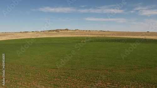 Aerial View of Irrigation Pivot Circle with Green Animal Feed Crops on a Sunny Day