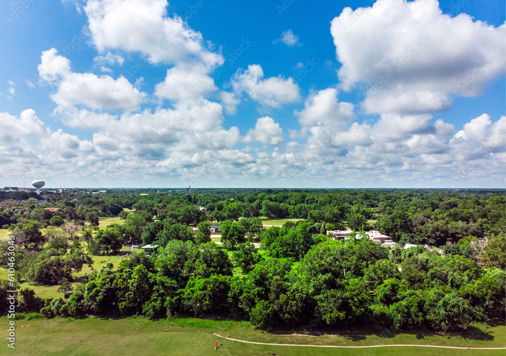 Drone view of trees in a small city