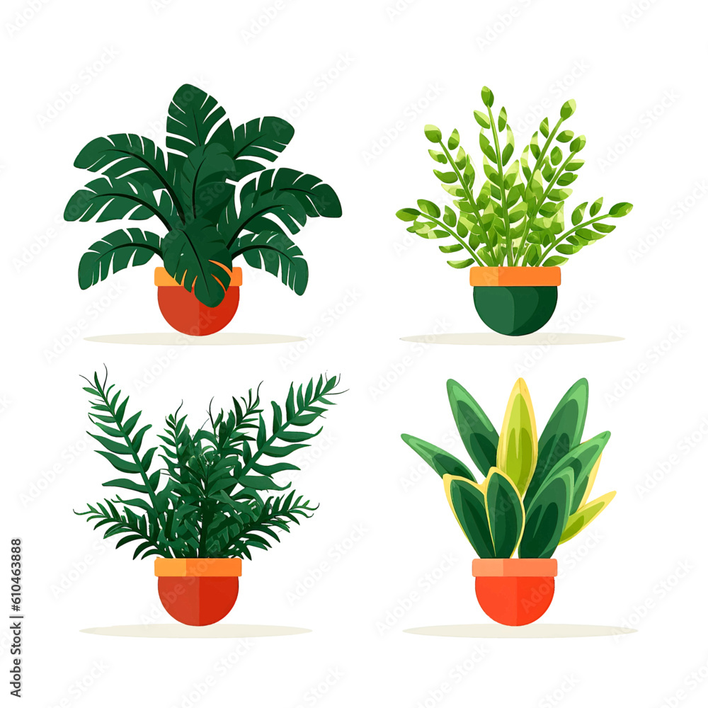 Set of houseplants. Indoor plant in modern flowerpot. Decorative houseplants for interior home decoration Set of houseplants. Indoor plant in modern flowerpot. Decorative houseplants for interior home decoration