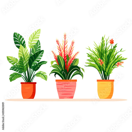 Set of houseplants. Indoor plant in modern flowerpot. Decorative houseplants for interior home decoration
