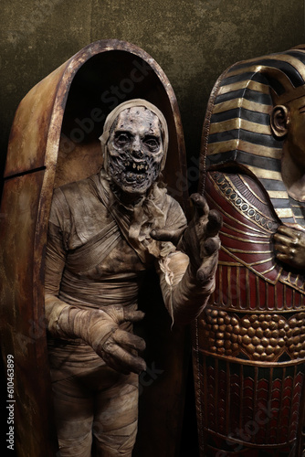 Fényképezés Egyptian Mummy with sarcophagus 3