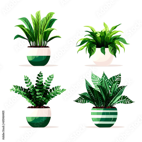 Set of houseplants. Indoor plant in modern flowerpot. Decorative houseplants for interior home decoration