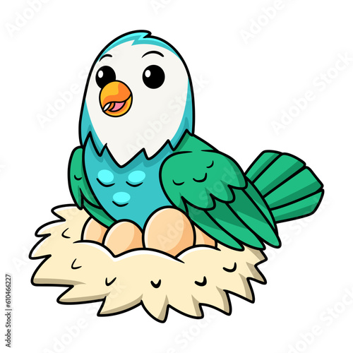 Cute blue turquoise bird cartoon with eggs in the nest