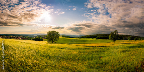 Sommer, Feld, Baum, Natur, Landschaft, Panorama
